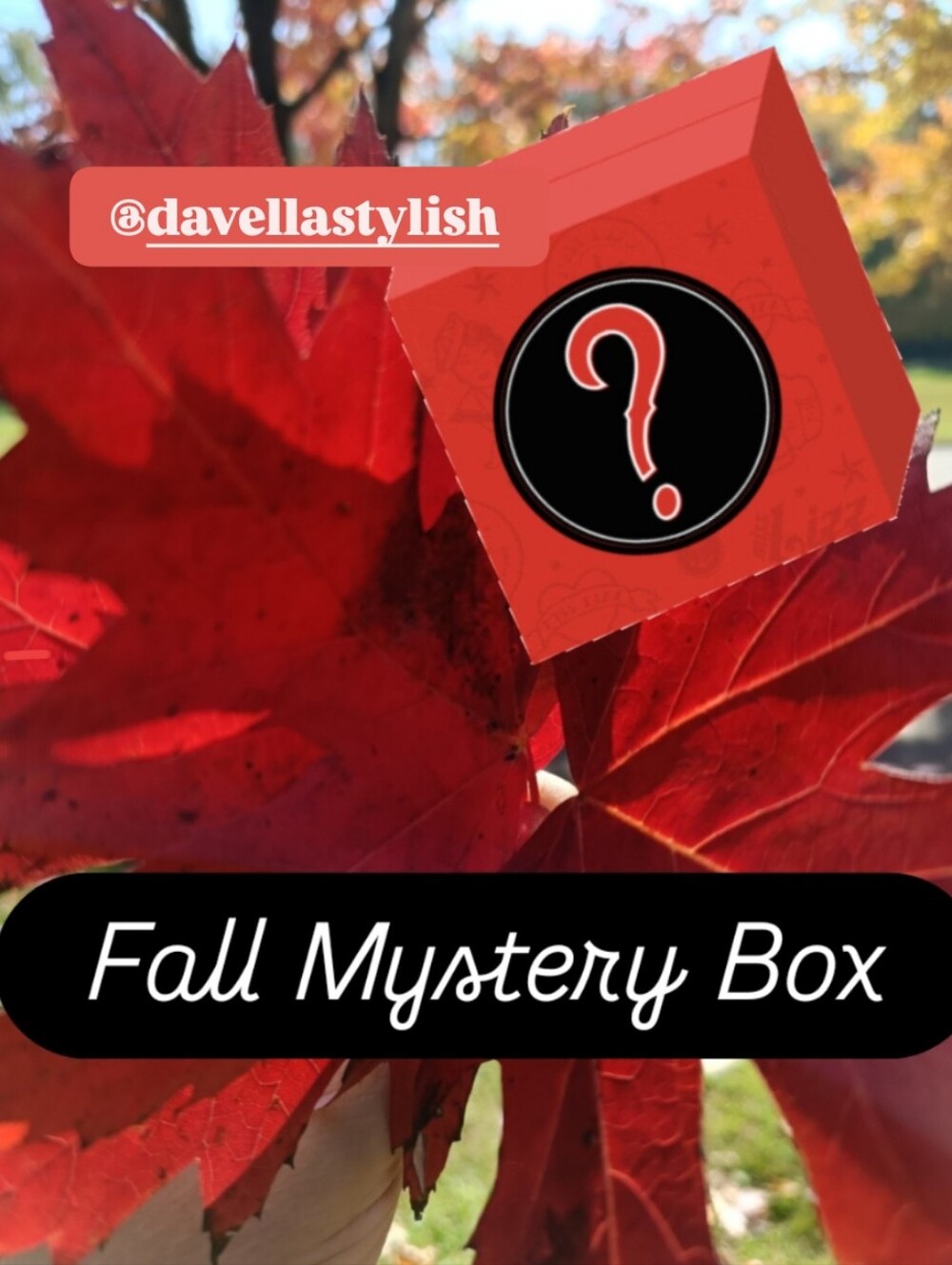 🍁 Fall Fashion 10 items 👚👖👢👠 Mystery Box 🍁🍁